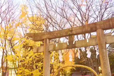 稲毛神社(神奈川県)