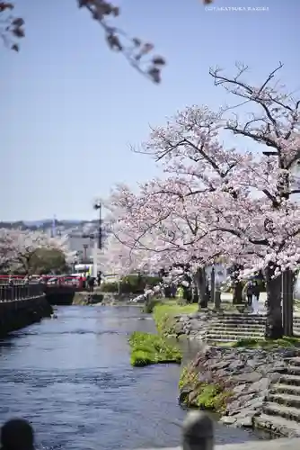 富士山本宮浅間大社(静岡県)
