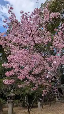 御香宮神社(京都府)