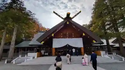 北海道神宮の七五三参