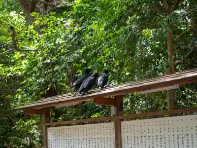 王子神社(東京都)