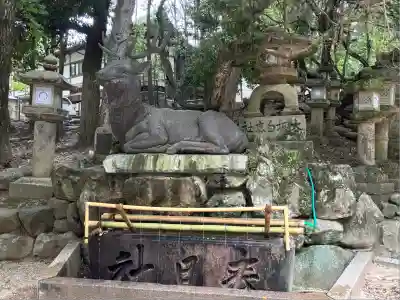 春日大社(奈良県)