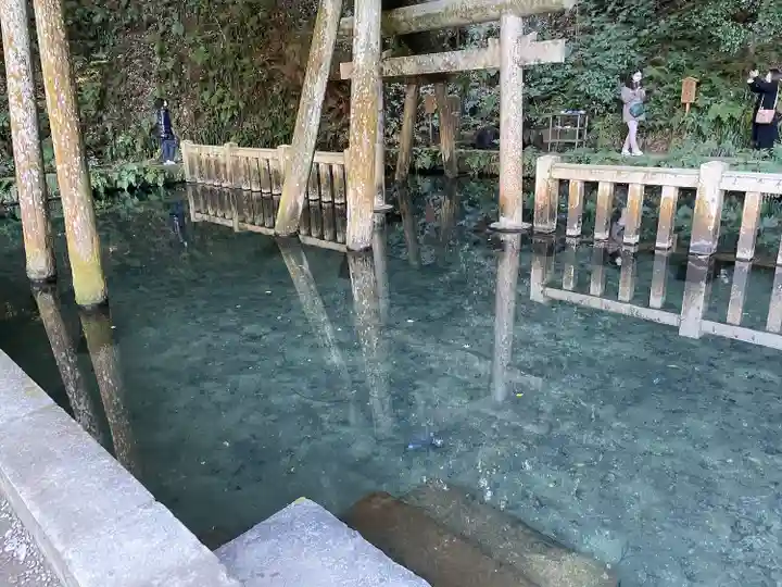 鹿島神宮(茨城県)