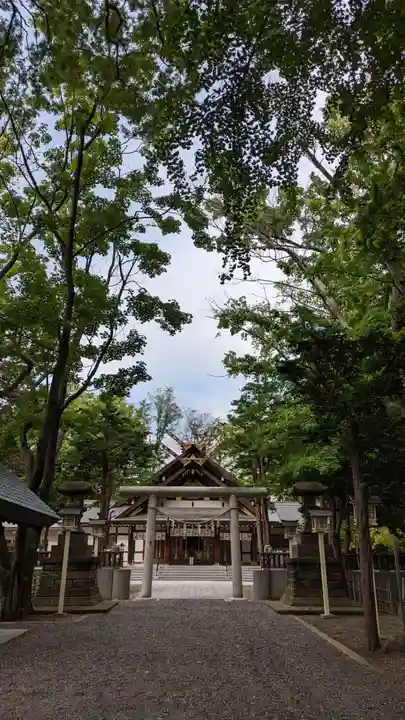 新琴似神社の鳥居