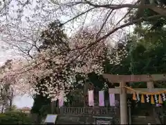 前玉神社の建物その他