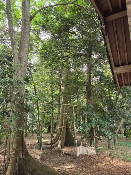 豊満神社(滋賀県)