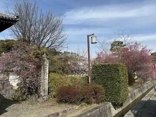 梅宮大社(京都府)