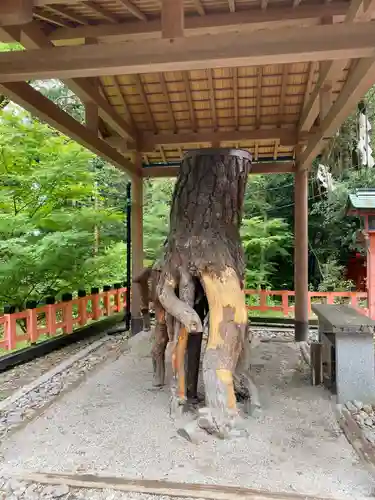 伏見稲荷大社(京都府)