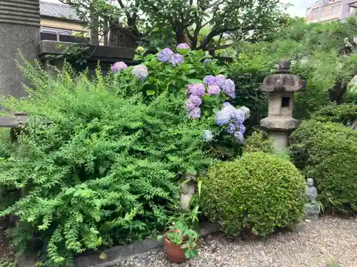 瑞泉寺(東京都)