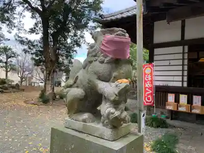 佐野原神社の狛犬