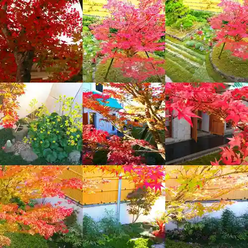 寿量山　速成寺の自然