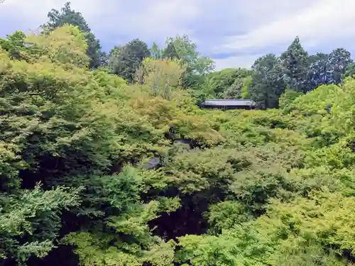 東福禅寺（東福寺）(京都府)