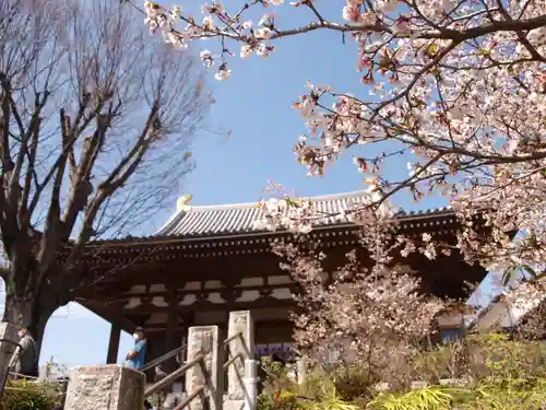 石上寺の本殿・本堂