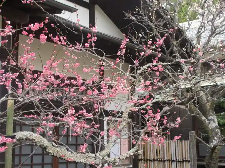 浄光明寺(神奈川県)