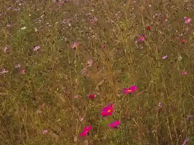 日間神社(兵庫県)