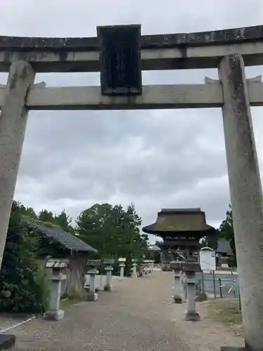 苗村神社の鳥居