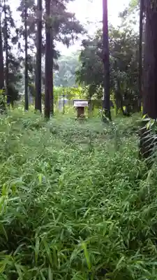 神社(名称不明)の自然