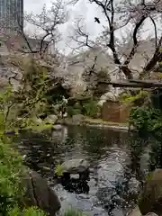 愛宕神社の庭園