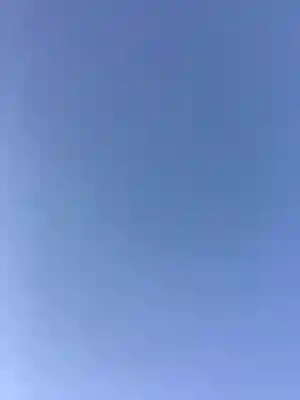 全久寺(愛知県)