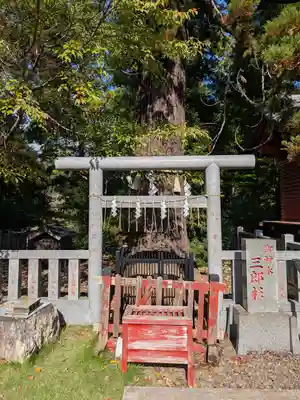 大杉神社(茨城県)