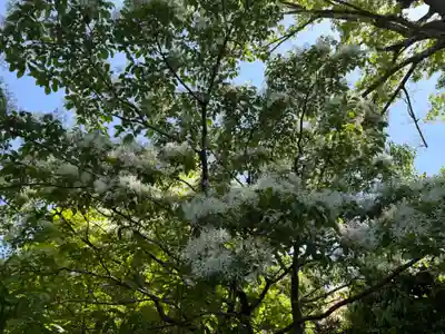 城南宮(京都府)