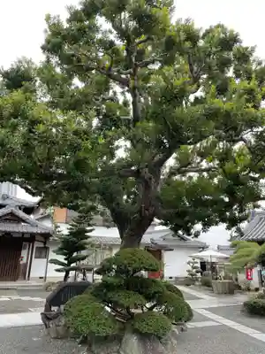 多聞寺(兵庫県)