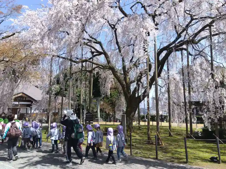 足羽神社の自然