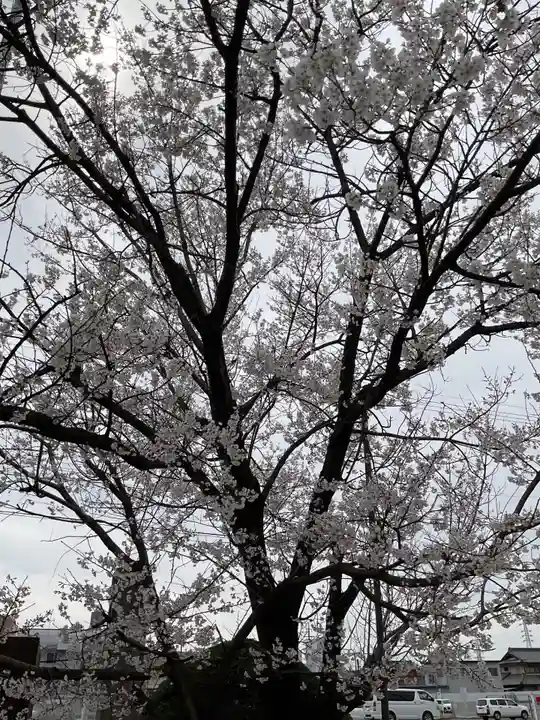 田縣神社(愛知県)