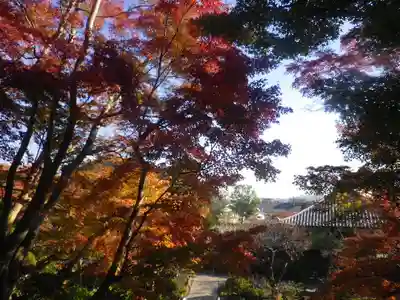 長谷寺のその他建物