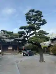 東漸寺(三重県)