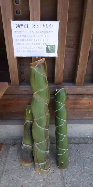 小垣江神明神社のその他建物