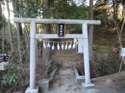 巌丿金毘羅神社（琴平神社）(東京都)