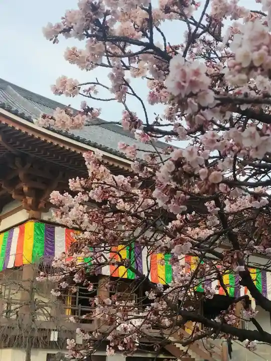 西新井大師総持寺(東京都)