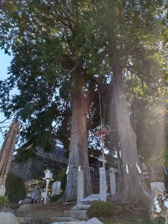 武雄神社(佐賀県)