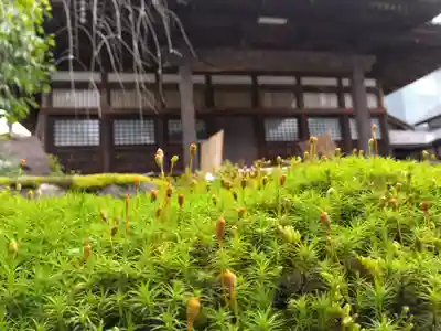 長慶寺(福井県)