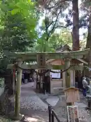 神龍八大龍王神社の鳥居