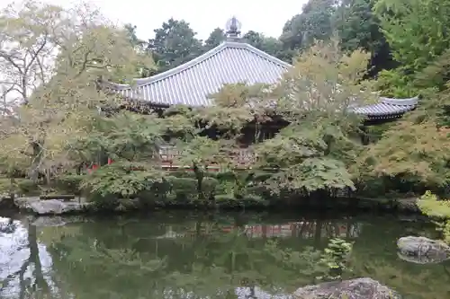 醍醐寺(京都府)