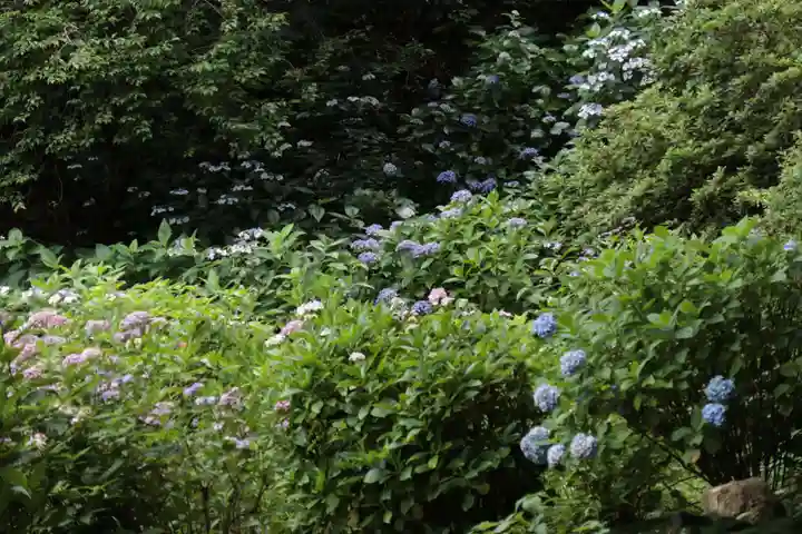 長壽寺(長寿寺)(神奈川県)