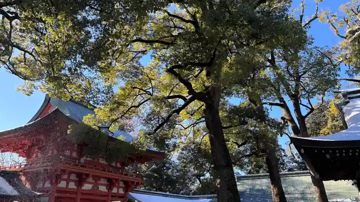 武蔵一宮氷川神社(埼玉県)