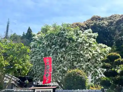 當麻寺西南院の{uncategorized: "未分類", other: "その他", undefined: "問題あり", building: "その他建物", grave: "お墓", sacred_gate: "鳥居", guardian: "狛犬", statue: "像", buddha: "仏像", history: "歴史", nature: "自然", garden: "庭園", animal: "動物", pagoda: "塔", temizu: "手水舎", mountain_gate: "山門・神門", sanctuary: "本殿・本堂", subordinate: "末社・摂社", art: "芸術", scenery: "景色", jizo: "地蔵", ema: "絵馬", goshuin: "御朱印", omikuji: "おみくじ", items: "授与品その他", amulet: "お守り", goshuincho: "御朱印帳", eats: "食事", festival: "お祭り", votive_dance: "神楽", shichigosan: "七五三参", wedding: "結婚式", experience: "体験その他", initially: "初詣", around: "周辺", anti_infection: "感染症対策"}