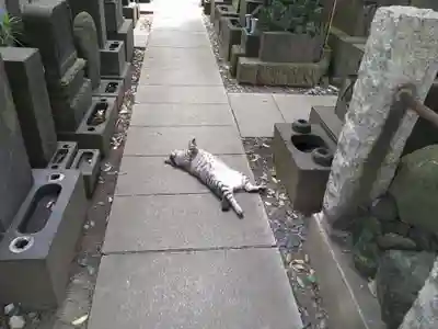 回向院(東京都)