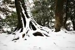 須佐神社の自然