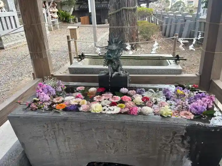 玉前神社の{uncategorized: "未分類", other: "その他", undefined: "問題あり", building: "その他建物", grave: "お墓", sacred_gate: "鳥居", guardian: "狛犬", statue: "像", buddha: "仏像", history: "歴史", nature: "自然", garden: "庭園", animal: "動物", pagoda: "塔", temizu: "手水舎", mountain_gate: "山門・神門", sanctuary: "本殿・本堂", subordinate: "末社・摂社", art: "芸術", scenery: "景色", jizo: "地蔵", ema: "絵馬", goshuin: "御朱印", omikuji: "おみくじ", items: "授与品その他", amulet: "お守り", goshuincho: "御朱印帳", eats: "食事", festival: "お祭り", votive_dance: "神楽", shichigosan: "七五三参", wedding: "結婚式", experience: "体験その他", initially: "初詣", around: "周辺", anti_infection: "感染症対策"}