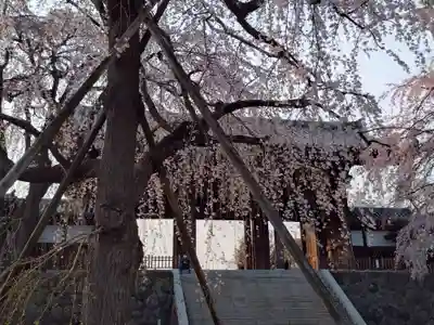 東郷寺(東京都)