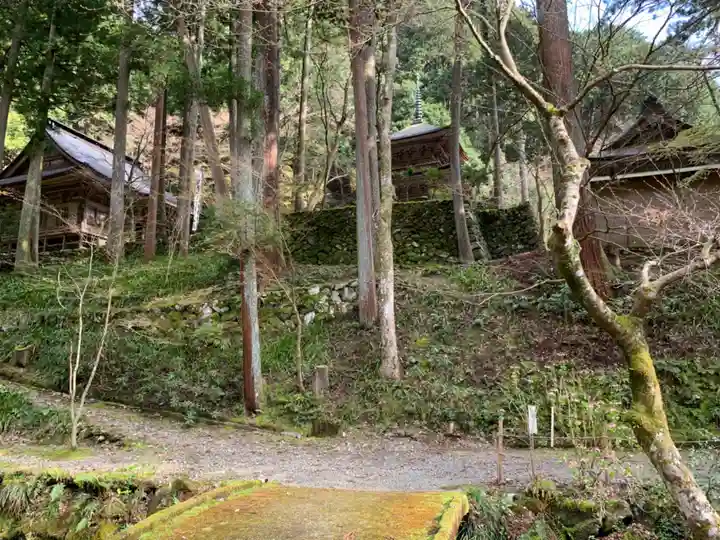 横蔵寺の周辺