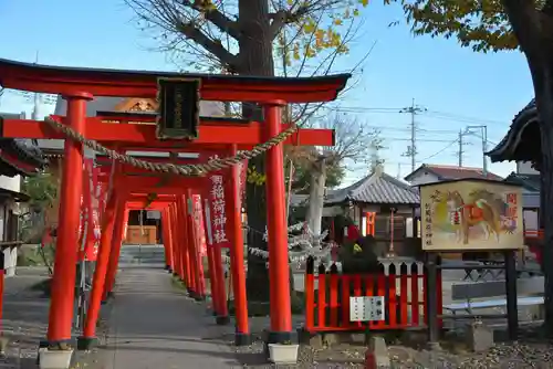 於菊稲荷神社の鳥居