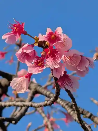 潮田神社(神奈川県)