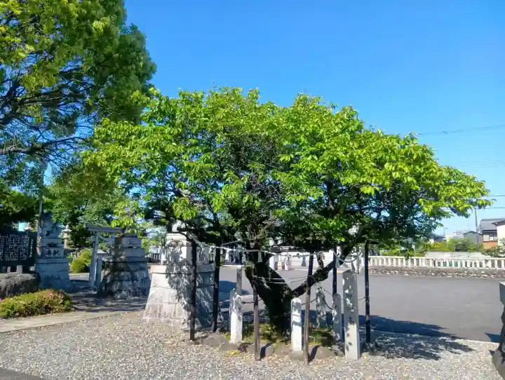 天神神社(柳津天神神社)の{uncategorized: "未分類", other: "その他", undefined: "問題あり", building: "その他建物", grave: "お墓", sacred_gate: "鳥居", guardian: "狛犬", statue: "像", buddha: "仏像", history: "歴史", nature: "自然", garden: "庭園", animal: "動物", pagoda: "塔", temizu: "手水舎", mountain_gate: "山門・神門", sanctuary: "本殿・本堂", subordinate: "末社・摂社", art: "芸術", scenery: "景色", jizo: "地蔵", ema: "絵馬", goshuin: "御朱印", omikuji: "おみくじ", items: "授与品その他", amulet: "お守り", goshuincho: "御朱印帳", eats: "食事", festival: "お祭り", votive_dance: "神楽", shichigosan: "七五三参", wedding: "結婚式", experience: "体験その他", initially: "初詣", around: "周辺", anti_infection: "感染症対策"}