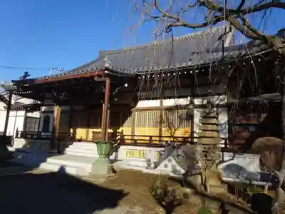 妙蓮寺の本殿・本堂