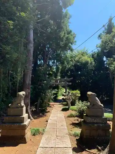 大宮神社の狛犬